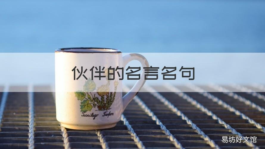 伙伴的名言名句 关于伙伴的名言名句