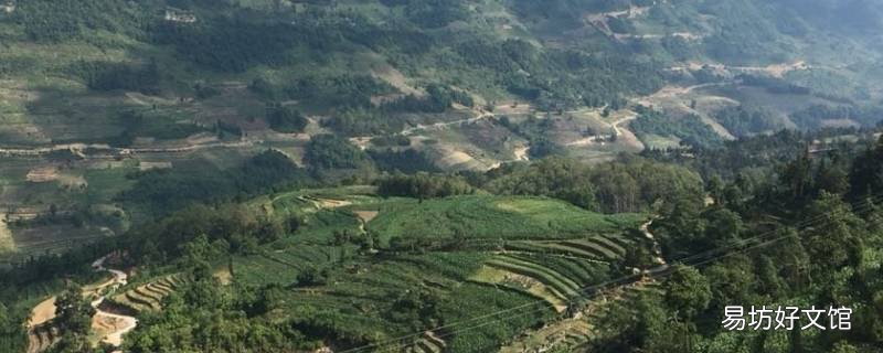 马关县特色文化 马关县特色文化活动