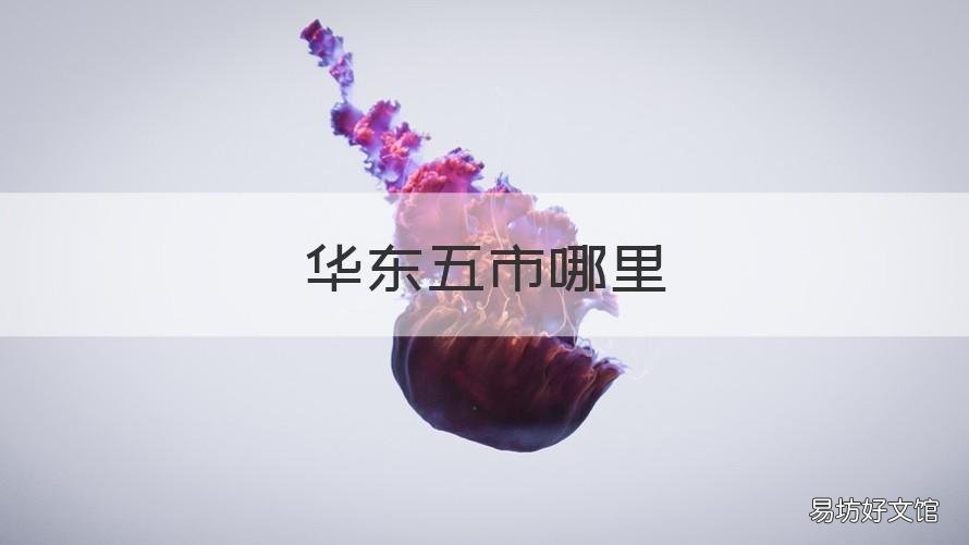 华东五市哪里 华东五市哪里有海