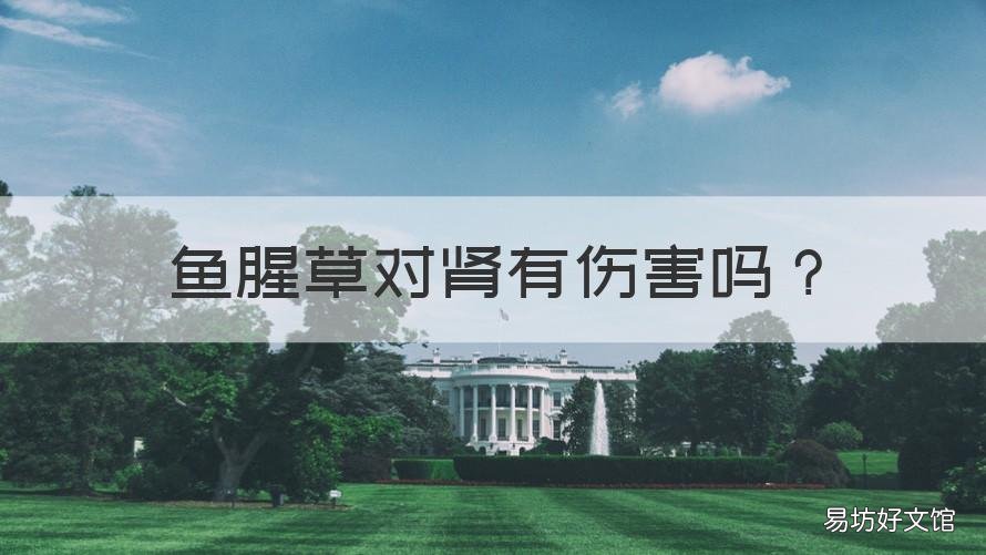 鱼腥草对肾有伤害吗 喝鱼腥草对肾有伤害吗