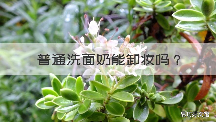 普通洗面奶能卸妆吗 普通的洗面奶可以卸妆吗