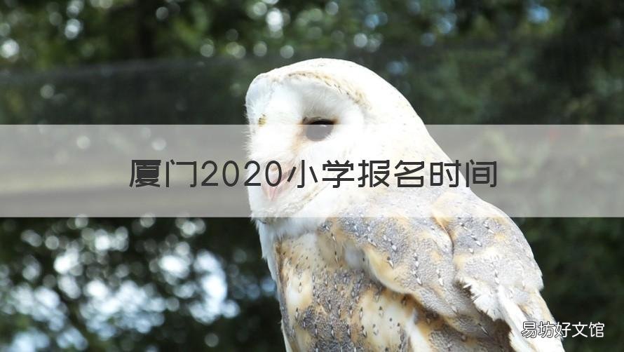 厦门2020小学报名时间 厦门小学考试时间2020