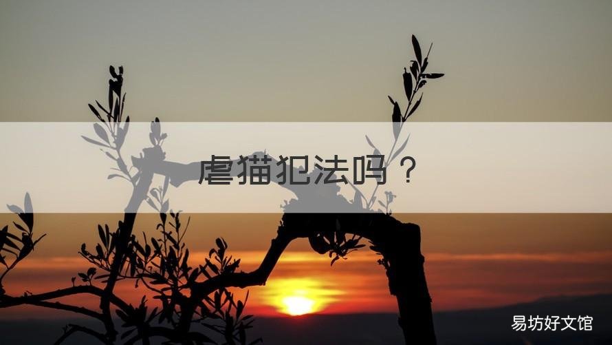 虐猫犯法吗 日本虐猫犯法吗