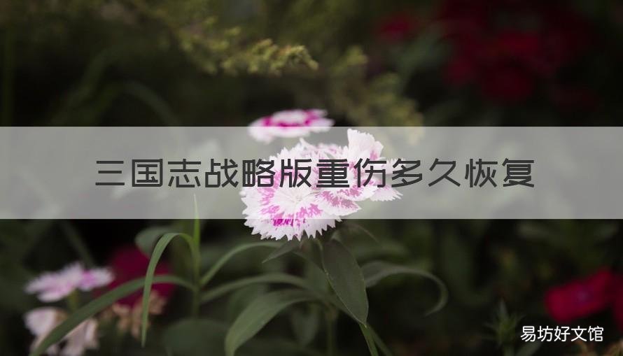 三国志战略版重伤多久恢复 三国志战略版 受伤多久恢复