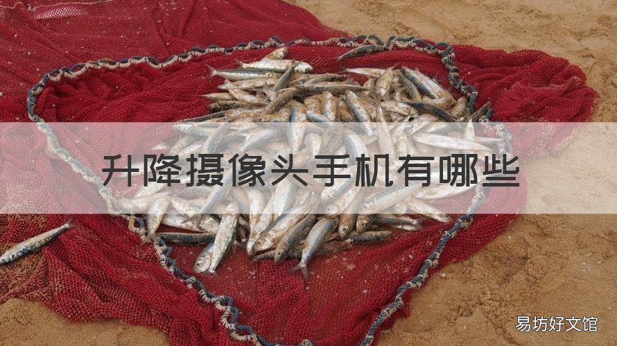 升降摄像头手机有哪些 vivo的升降摄像头手机有哪些