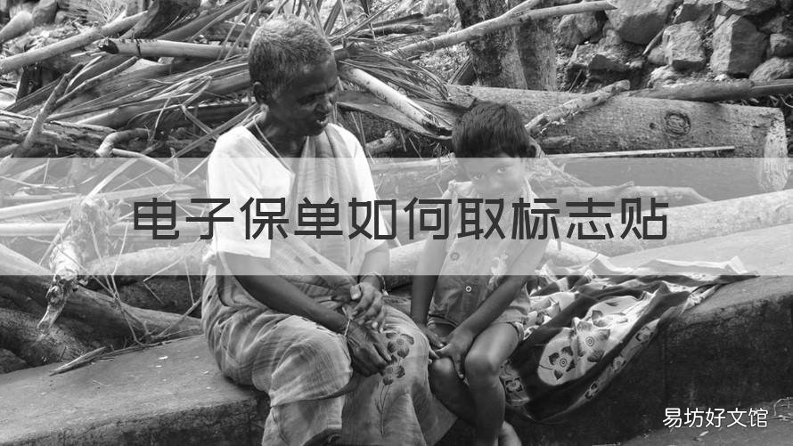 电子保单如何取标志贴 电子保单有贴标吗