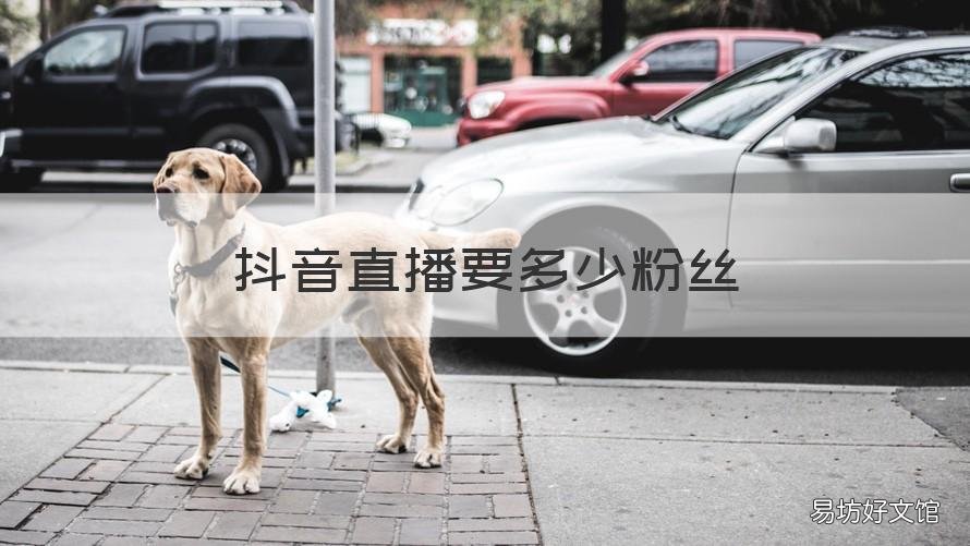 抖音直播要多少粉丝