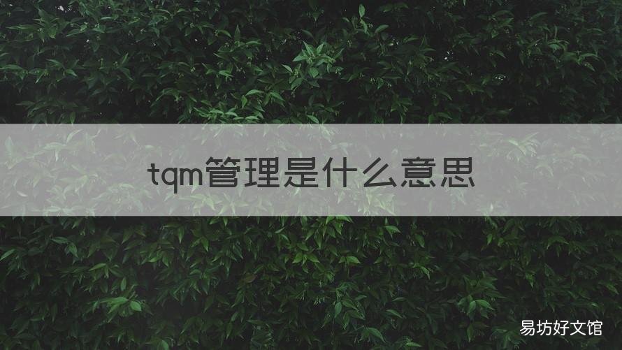 tqm管理是什么意思