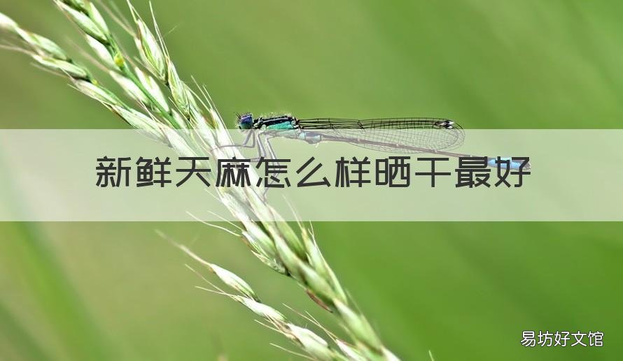 新鲜天麻怎么样晒干最好 天麻怎么晒干比较好