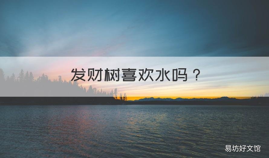 发财树喜欢水吗 发财树喜欢大水吗