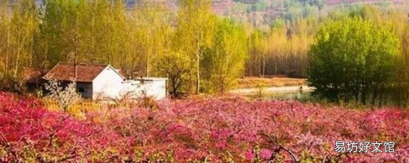 蒙阴县特色文化 蒙阴县特色文化有哪些