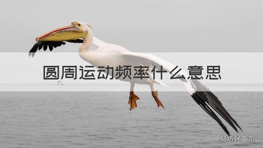圆周运动频率什么意思 圆周运动频率和转速