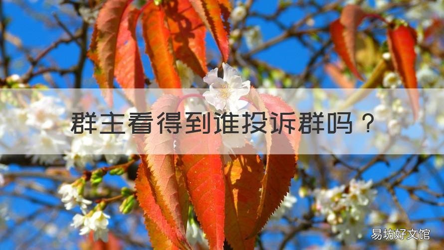 群主看得到谁投诉群吗 微信群主看得到谁投诉群吗