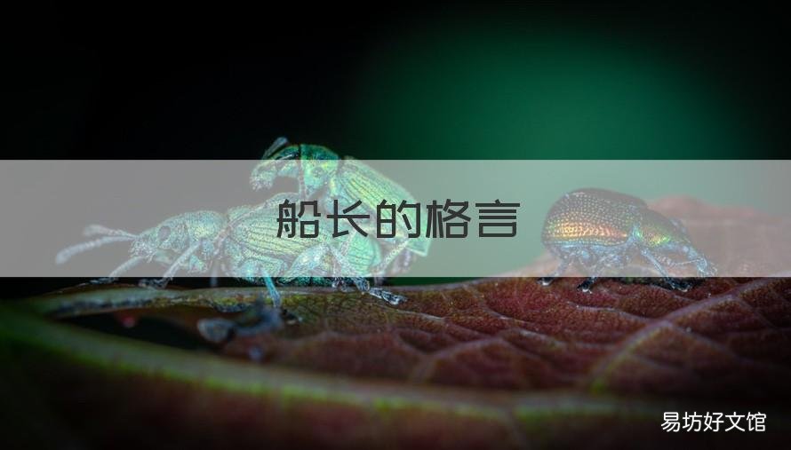 船长的格言 船长说的话