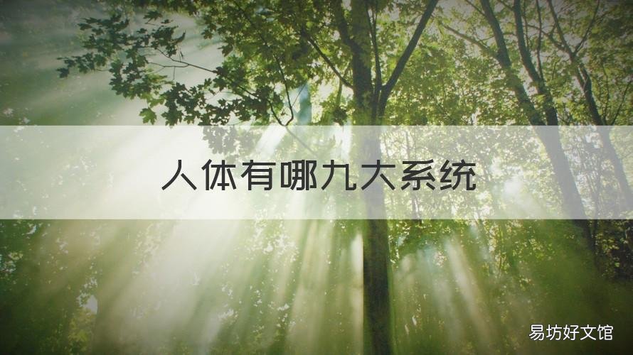 人体有哪九大系统 人体有哪九大系统图片