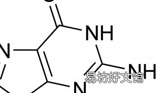 碱基被替换氨基酸序列没改变的原因 碱基被替换后,不编码氨基酸的密码子