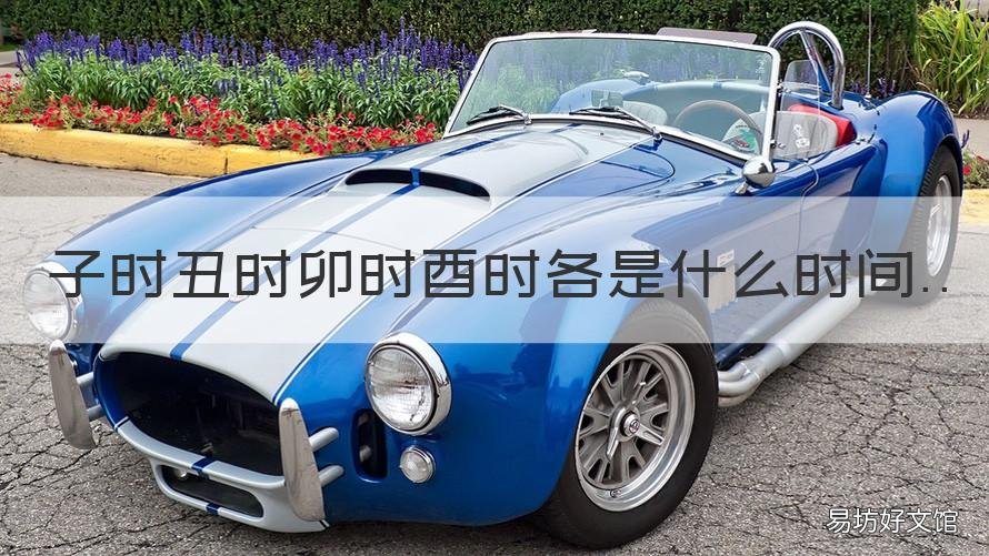子时丑时卯时酉时各是什么时间 子时丑时卯时酉时各是什么时间拼音