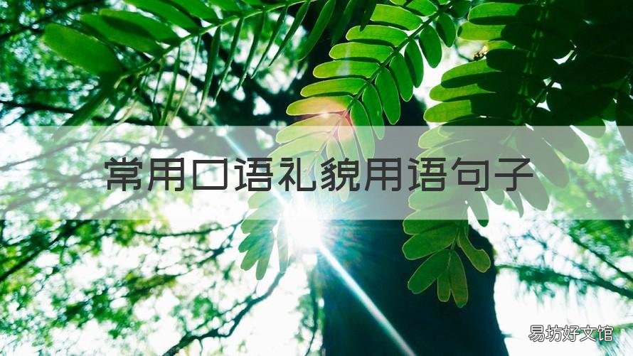 常用口语礼貌用语句子 常用口语礼貌用语句子大全