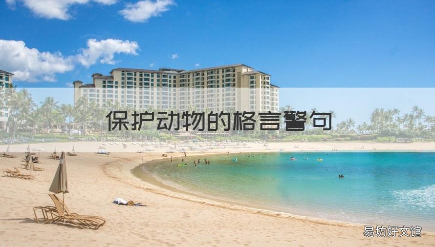 保护动物的格言警句 关于保护动物的名人名言警句