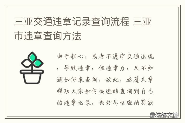三亚交通违章记录查询流程 三亚违章查询官方网站