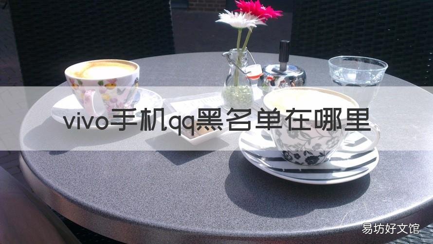 vivo手机qq黑名单在哪里 vivo的手机号码黑名单在哪里