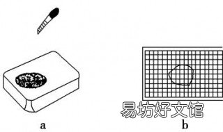 气体分子碰撞次数公式 气体平均碰撞次数