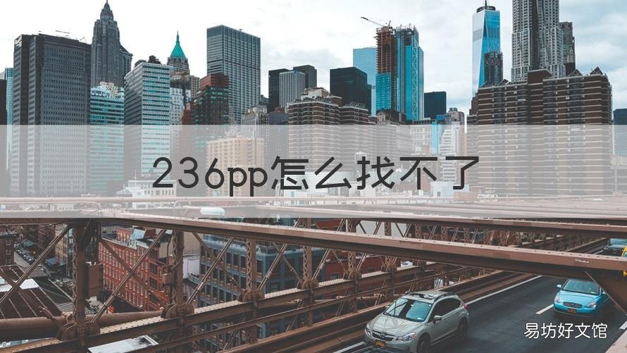 236pp怎么找不了 236ppi