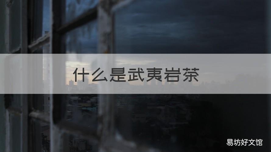 什么是武夷岩茶 什么是武夷岩茶手工茶