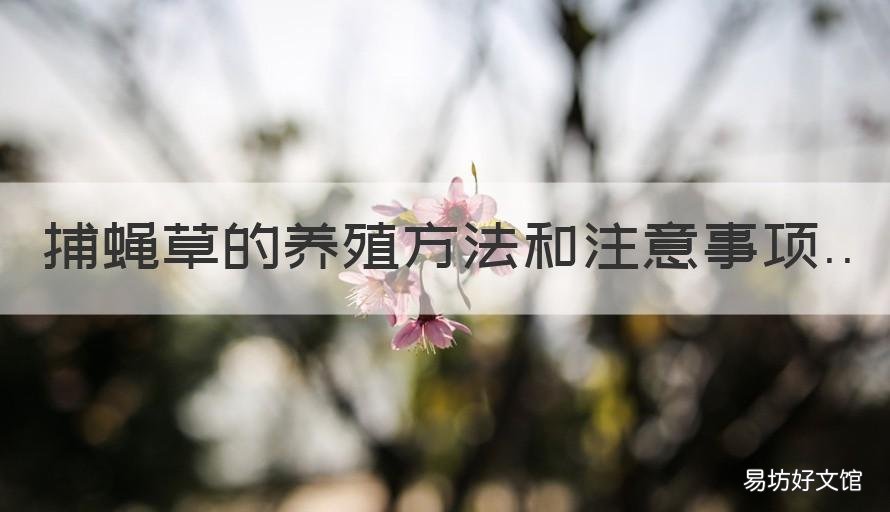 捕蝇草的养殖方法和注意事项 种植捕蝇草要注意什么