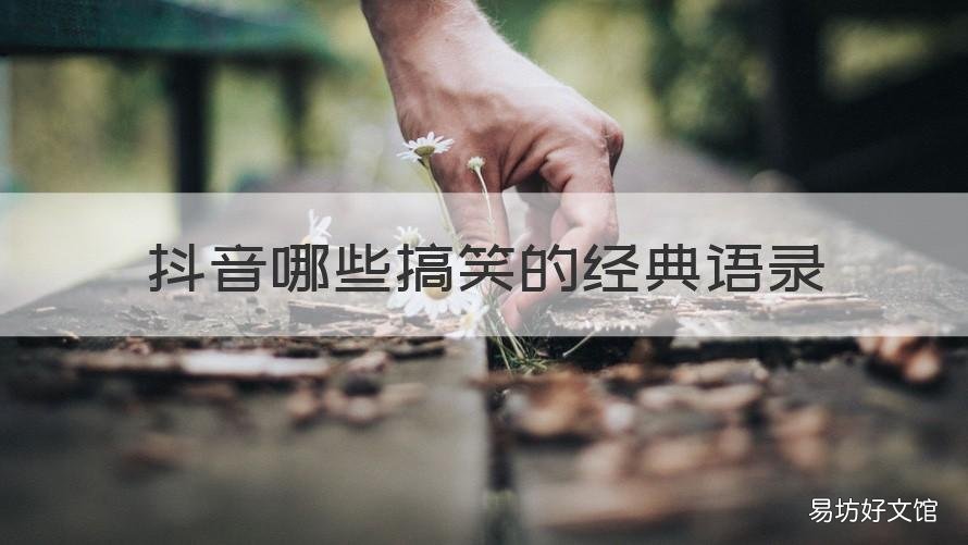 抖音哪些搞笑的经典语录 抖音流行语录 搞笑