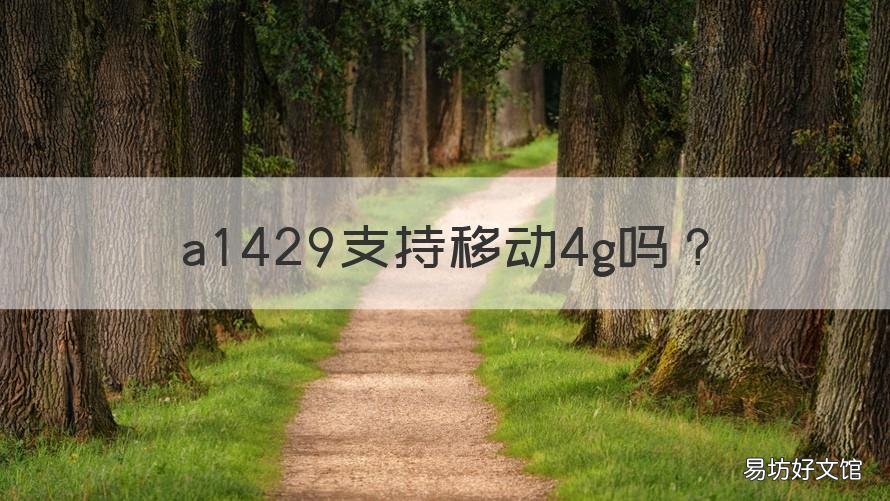 a1429支持移动4g吗 a1442支持4g吗