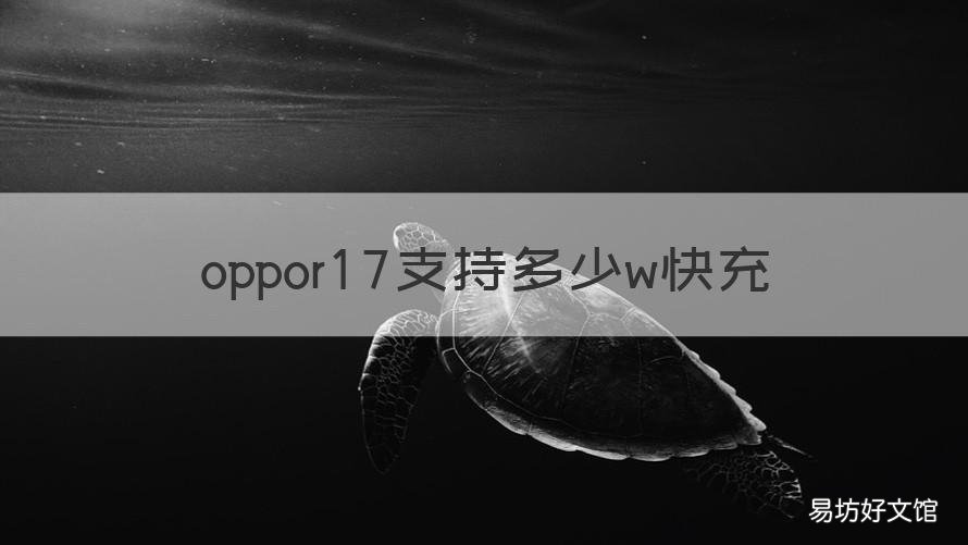oppor17支持多少w快充 oppor17pro支持多少w快充