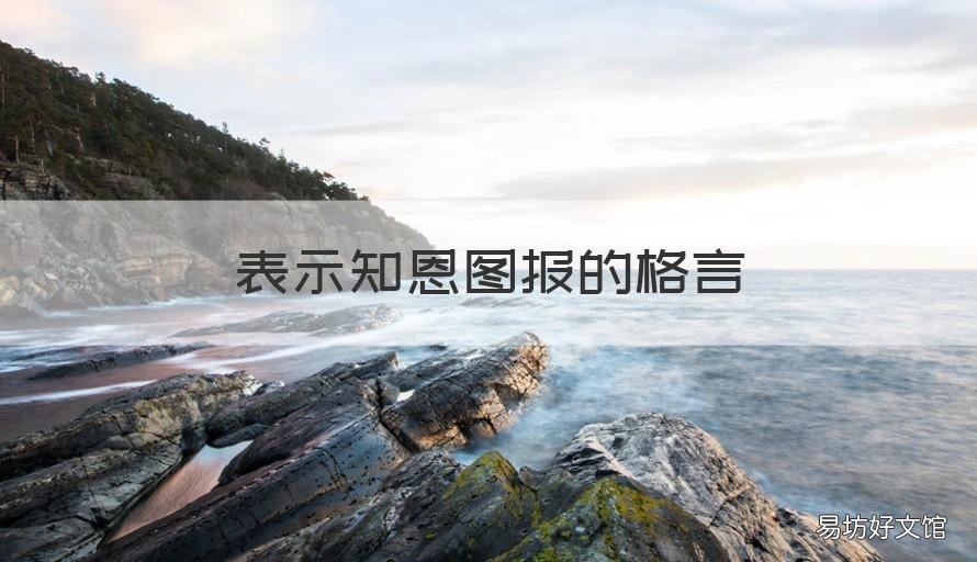 表示知恩图报的格言 表达 知恩图报 的 格言