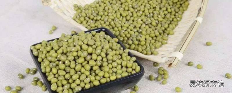 干绿豆可以长期放冰箱冷冻吗 绿豆放冰箱半年是否可以食用