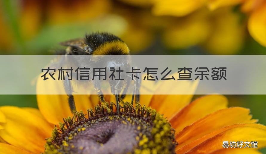 农村信用社卡怎么查余额 江西农村信用社卡怎么查余额