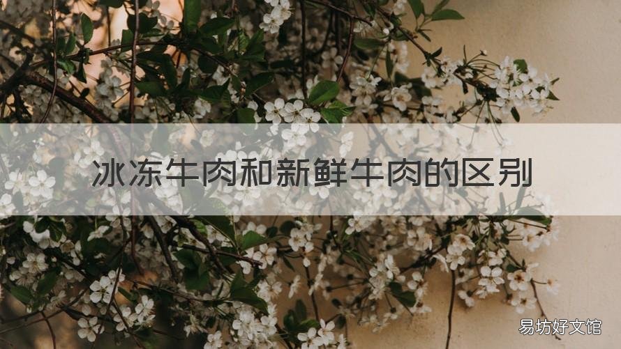 冰冻牛肉和新鲜牛肉的区别 冰冻牛肉和新鲜牛肉的口感区别