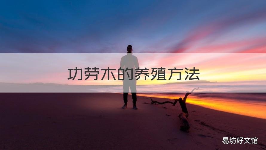 功劳木的养殖方法 功劳木可以代替功劳叶吗