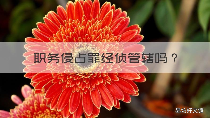 职务侵占罪经侦管辖吗 职务侵占属于经侦管吗