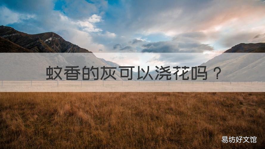 蚊香的灰可以浇花吗 蚊香灰适合浇什么花