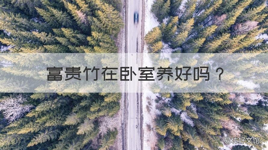 富贵竹在卧室养好吗 富贵竹适合养在卧室里吗