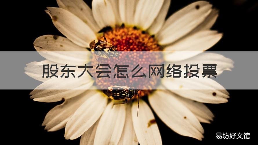 股东大会怎么网络投票