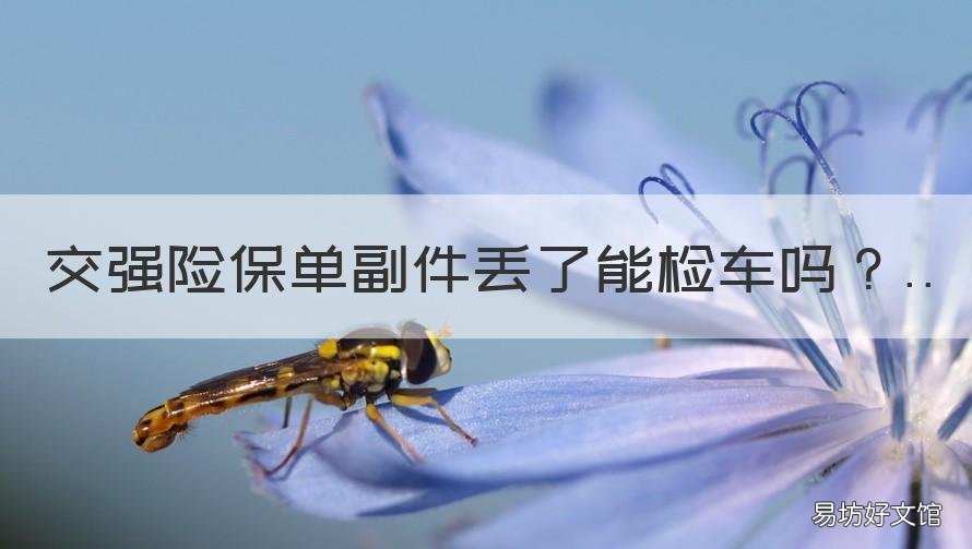交强险保单副件丢了能检车吗 强制保险副本丢了能检车吗