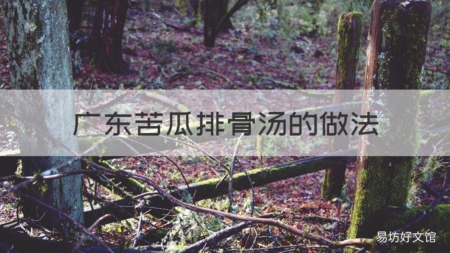 广东苦瓜排骨汤的做法 苦瓜排骨汤食材