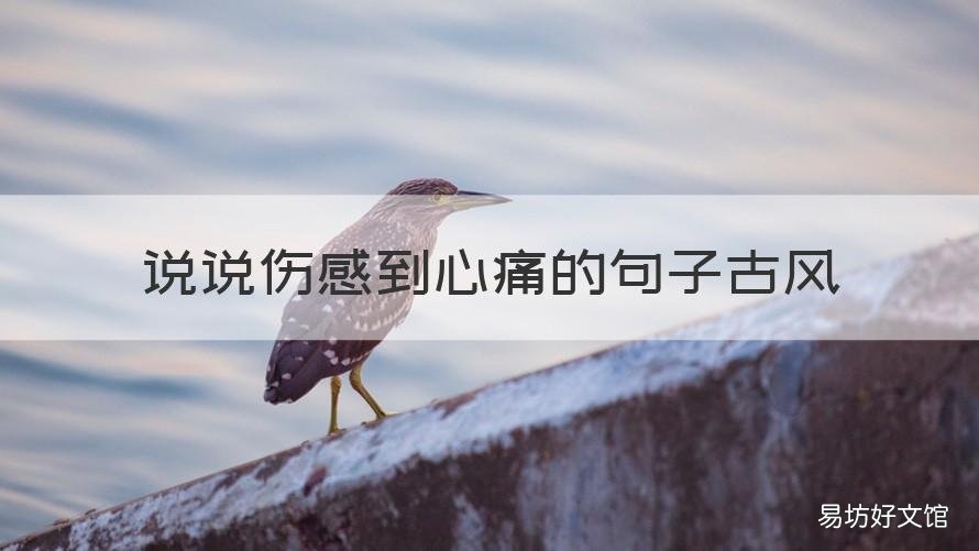 说说伤感到心痛的句子古风 说说伤感到心痛的句子古风图片