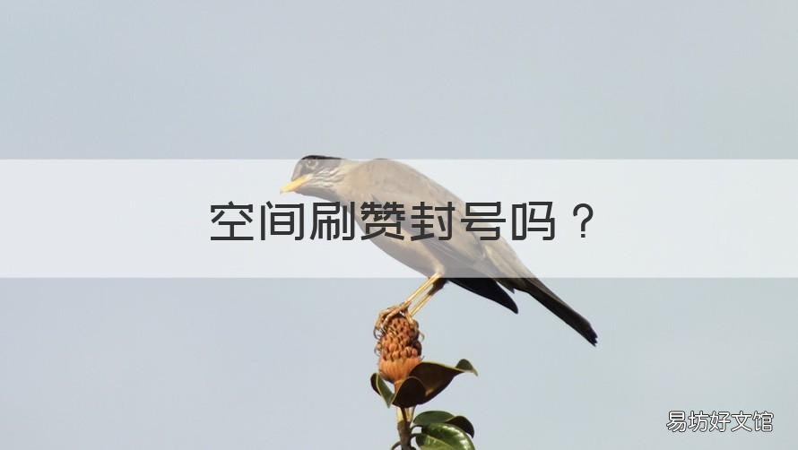空间刷赞封号吗