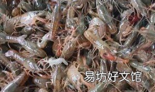 科技对养殖业有哪些服务 科技对养殖业有哪些服务和贡献