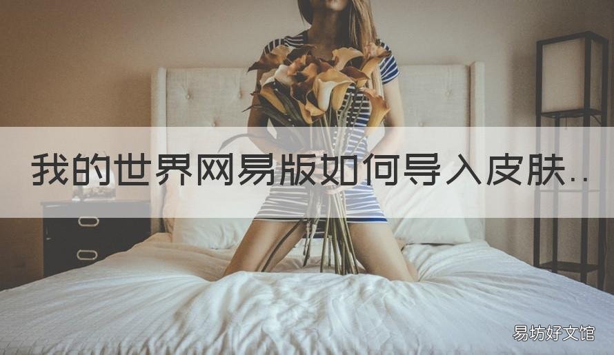 我的世界网易版如何导入皮肤 我的世界网易版如何导入皮肤2021