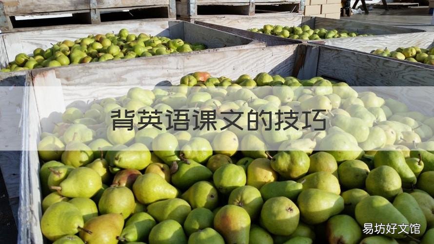 背英语课文的技巧 英语背课文的方法和技巧