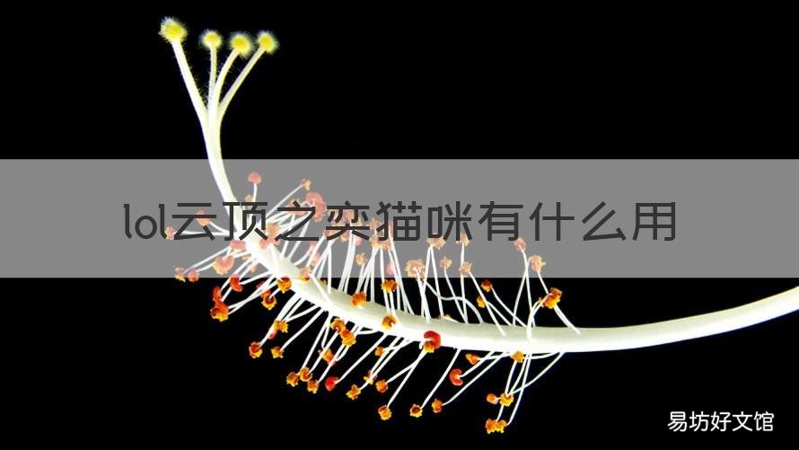 lol云顶之奕猫咪有什么用 云顶之弈猫咪是什么英雄