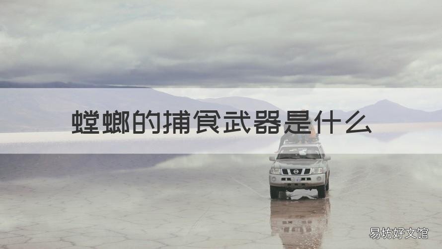 螳螂的捕食武器是什么 螳螂的捕食武器是什么样的